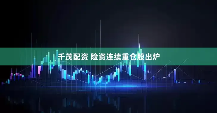 千茂配资 险资连续重仓股出炉